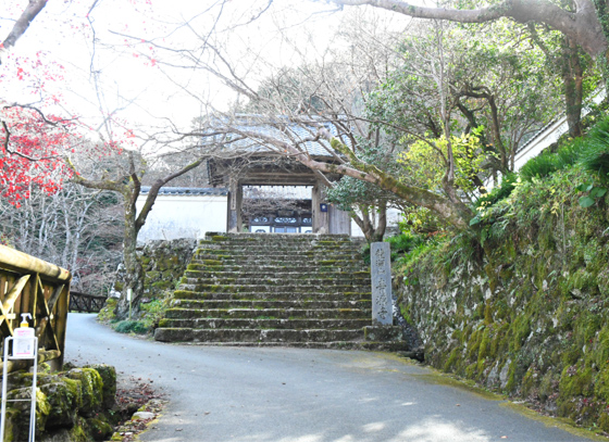 「らんまん」のふるさと　佐川 メイン画像