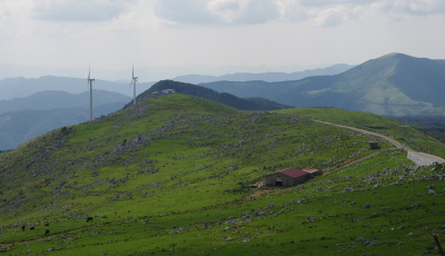 高知県内観光プラン　風景画像01